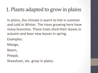 1.	
  Plants	
  adapted	
  to	
  grow	
  in	
  plains	
  	
  
In	
  plains,	
  the	
  climate	
  is	
  warm	
  to	
  hot	
  in	
  summer	
  
and	
  cold	
  in	
  Winter.	
  The	
  trees	
  growing	
  here	
  have	
  
many	
  branches.	
  These	
  trees	
  shed	
  their	
  leaves	
  in	
  
autumn	
  and	
  bear	
  new	
  leaves	
  in	
  spring.	
  	
  
Examples:	
  	
  
Mango,	
  	
  
Neem,	
  	
  
Peepal,	
  	
  
Sheesham,	
  etc.	
  grow	
  in	
  plains.	
  	
  
 