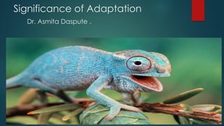 Significance of Adaptation
Dr. Asmita Daspute .
 