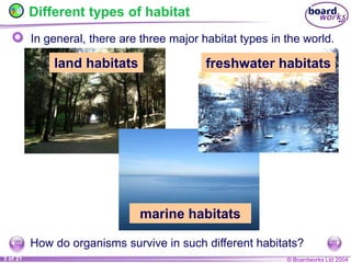 © Boardworks Ltd 2004
3 of 21
Different types of habitat
In general, there are three major habitat types in the world.
land habitats
marine habitats
freshwater habitats
How do organisms survive in such different habitats?
 