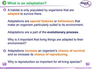© Boardworks Ltd 2004
4 of 21
What is an adaptation?
A habitat is only populated by organisms that are
adapted to survive there.
Adaptations are special features or behaviours that
make an organism particularly suited to its environment.
Adaptations are a part of the evolutionary process.
Why is it important that living things are adapted to their
environment?
Adaptations increase an organism’s chance of survival
and so increase its chance of reproducing.
Why is reproduction so important for all living species?
 