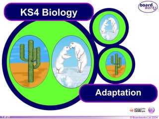 © Boardworks Ltd 2004
1 of 21
Adaptation
KS4 Biology
 