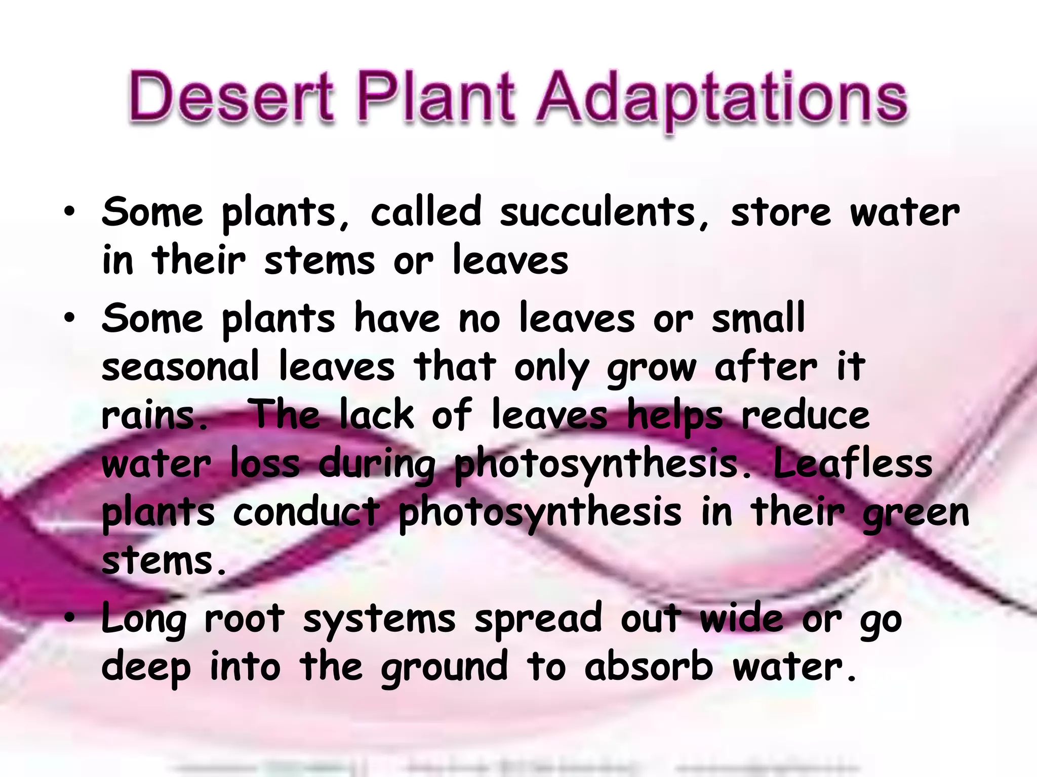 • Some plants, called succulents, store water
  in their stems or leaves
• Some plants have no leaves or small
  seasonal leaves that only grow after it
  rains. The lack of leaves helps reduce
  water loss during photosynthesis. Leafless
  plants conduct photosynthesis in their green
  stems.
• Long root systems spread out wide or go
  deep into the ground to absorb water.
 