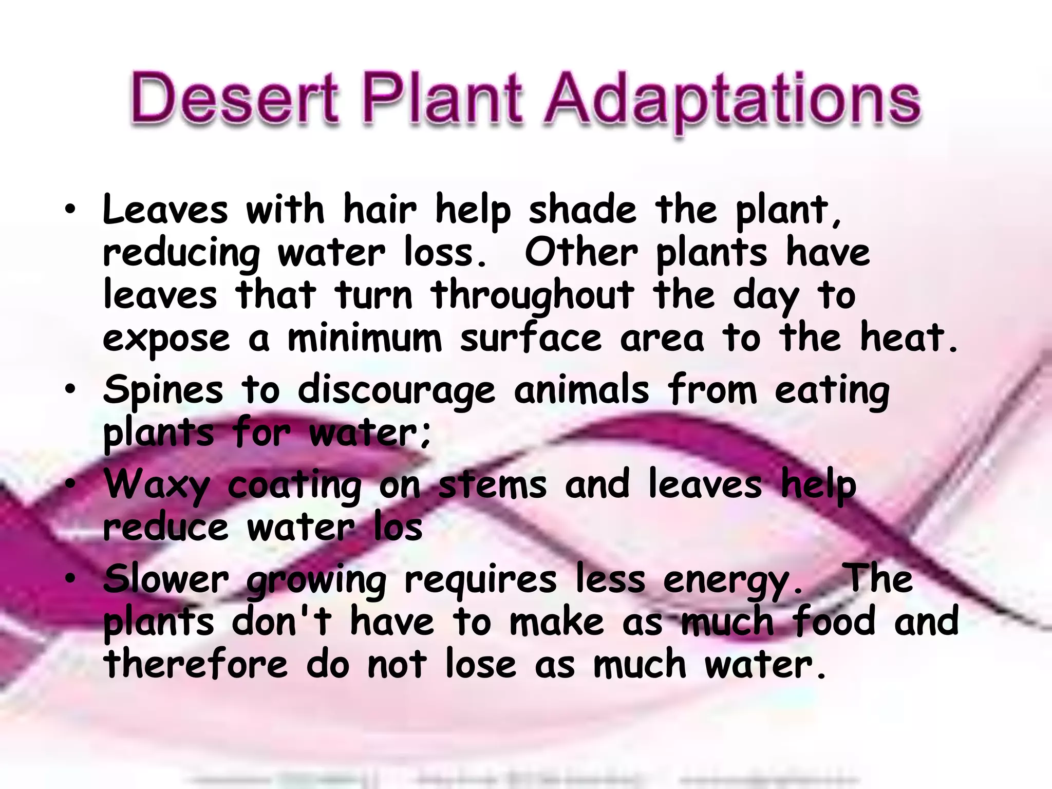 • Leaves with hair help shade the plant,
  reducing water loss. Other plants have
  leaves that turn throughout the day to
  expose a minimum surface area to the heat.
• Spines to discourage animals from eating
  plants for water;
• Waxy coating on stems and leaves help
  reduce water los
• Slower growing requires less energy. The
  plants don't have to make as much food and
  therefore do not lose as much water.
 