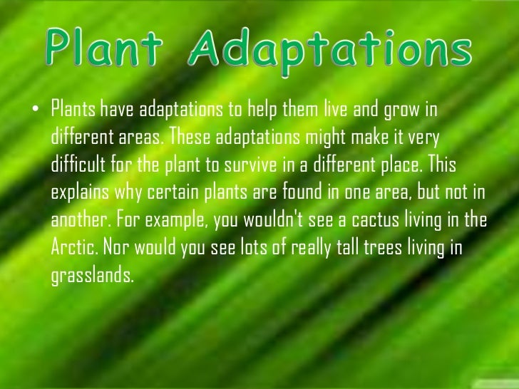 Plant Adaptation