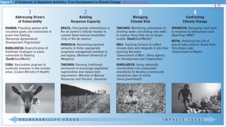 (McGray et al. 2007)
17
 