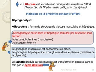 Franck Rencurel 2020 10
•Le Glucose est le carburant principal des muscles à l’effort
(Production d’ATP plus rapide qu’à partir d’es lipides).
Maintien de la glycémie pendant l’effort:
Glycogénolyse:
•Glycogène : forme de stockage de glucose musculaire et hépatique.
•Glycogénolyse musculaire et hépatique stimulée par l’exercice sous
l’action:
des catécholamines (muscles++)
glucagon (foie++).
Le glycogène musculaire est consommé sur place,
Le glycogène hépatique libère du glucose dans le plasma (maintien de
la glycémie).
Le lactate produit par les muscles est transformé en glucose dans le
foie par le cycle des Cori
 