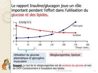 Franck Rencurel 2020 12
Le rapport Insuline/glucagon joue un rôle
important pendant l’effort dans l’utilisation du
glucose et des lipides.
Utilisation du glucose
plasmatique et glycogène
musculaire
Néoglucogenèse, lipolyse
Rappel: Le but de la néoglucogenèse est de produire du glucose et non
de l’ATP. Contrairement à l’oxydation des lipides
 