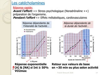 Franck Rencurel 2020 14
Les catécholamines
Réponse rapide:
Avant l’effort: => Stress psychologique (Noradrénaline ++)
préparation de l’organisme.
Pendant l’effort => Effets métaboliques, cardiovasculaires
Réponse dépendante de
l’intensité de l’activité…
Réponse dépendante de
la durée de l’activité…
Réponse exponentielle
[A] & [NA] si Int ≥ 50%
VO2max
Retour aux valeurs de base
en ~30 min ou plus selon activité
 