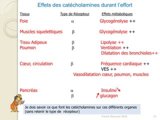 Franck Rencurel 2020 15
Effets des catécholamines durant l’effort
Foie a Glycogénolyse ++
Muscles squelettiques b Glycogénolyse ++
Tissu Adipeux b Lipolyse ++
Poumon b Ventilation ++
Dilatation des bronchioles++
Cœur, circulation b Fréquence cardiaque ++
VES ++
Vasodilatation cœur, poumon, muscles
Pancréas a Insuline
b glucagon
Type de Récepteur Effets métaboliquesTissus
Je dois savoir ce que font les catécholamines sur ces différents organes
(sans retenir le type de récepteur)
 