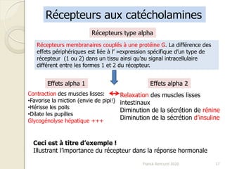 Franck Rencurel 2020 17
Récepteurs aux catécholamines
Récepteurs type alpha
Récepteurs membranaires couplés à une protéine G. La différence des
effets périphériques est liée à l’ »expression spécifique d’un type de
récepteur (1 ou 2) dans un tissu ainsi qu’au signal intracellulaire
différent entre les formes 1 et 2 du récepteur.
Effets alpha 1 Effets alpha 2
Contraction des muscles lisses:
•Favorise la miction (envie de pipi!)
•Hérisse les poils
•Dilate les pupilles
Glycogénolyse hépatique +++
Relaxation des muscles lisses
intestinaux
Diminution de la sécrétion de rénine
Diminution de la sécrétion d’insuline
Ceci est à titre d’exemple !
Illustrant l’importance du récepteur dans la réponse hormonale
 