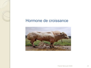 Franck Rencurel 2020 23
Hormone de croissance
 
