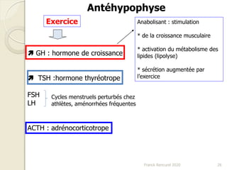 Antéhypophyse
 GH : hormone de croissance
 TSH :hormone thyréotrope
FSH
LH
ACTH : adrénocorticotrope
Anabolisant : stimulation
* de la croissance musculaire
* activation du métabolisme des
lipides (lipolyse)
* sécrétion augmentée par
l’exercice
Exercice
26Franck Rencurel 2020
Cycles menstruels perturbés chez
athlètes, aménorrhées fréquentes
 