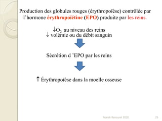 Production des globules rouges (érythropoïèse) contrôlée par
l’hormone érythropoïétine (EPO) produite par les reins.
O2 au niveau des reins
 volémie ou du débit sanguin
Sécrétion d ’EPO par les reins
 Érythropoïèse dans la moelle osseuse
29Franck Rencurel 2020
 