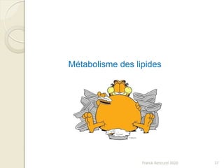 Franck Rencurel 2020 37
Métabolisme des lipides
 