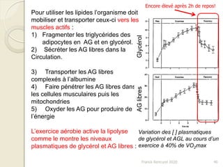 Franck Rencurel 2020 40
Pour utiliser les lipides l’organisme doit
mobiliser et transporter ceux-ci vers les
muscles actifs :
1) Fragmenter les triglycérides des
adipocytes en AG et en glycérol.
2) Sécréter les AG libres dans la
Circulation.
3) Transporter les AG libres
complexés à l’albumine
4) Faire pénétrer les AG libres dans
les cellules musculaires puis les
mitochondries
5) Oxyder les AG pour produire de
l’énergie
L’exercice aérobie active la lipolyse
comme le montre les niveaux
plasmatiques de glycérol et AG libres :
Variation des [ ] plasmatiques
de glycérol et AGL au cours d’un
exercice à 40% de VO2max
GlycérolAGlibres
Encore élevé après 2h de repos!
 
