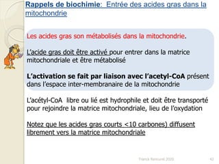 Rappels de biochimie: Entrée des acides gras dans la
mitochondrie
Franck Rencurel 2020 42
Les acides gras son métabolisés dans la mitochondrie.
L’acide gras doit être activé pour entrer dans la matrice
mitochondriale et être métabolisé
L’activation se fait par liaison avec l’acetyl-CoA présent
dans l’espace inter-membranaire de la mitochondrie
L’acétyl-CoA libre ou lié est hydrophile et doit être transporté
pour rejoindre la matrice mitochondriale, lieu de l’oxydation
Notez que les acides gras courts <10 carbones) diffusent
librement vers la matrice mitochondriale
 