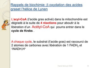 44
Rappels de biochimie: b oxydation des acides
graset l’hélice de Lynen
L’acyl-CoA (l’acide gras activé) dans la mitochondrie est
dégradé à la suite de 4 réactions pour aboutir à la
libération d’un Acétyl-CoA qui pourra entrer dans le
cycle de Krebs .
A chaque cycle, le substrat (l’acide gras) est raccourci de
2 atomes de carbones avec libération de 1 FADH2 et
1NADH,H+
Franck Rencurel 2020
 
