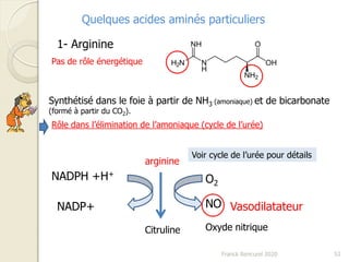 Franck Rencurel 2020 52
Quelques acides aminés particuliers
1- Arginine
Synthétisé dans le foie à partir de NH3 (amoniaque) et de bicarbonate
(formé à partir du CO2).
Rôle dans l’élimination de l’amoniaque (cycle de l’urée)
arginine
O2
NO
NADPH +H+
NADP+
Citruline
Vasodilatateur
Oxyde nitrique
Voir cycle de l’urée pour détails
Pas de rôle énergétique
 
