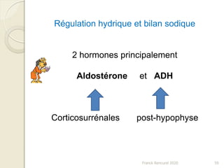 Franck Rencurel 2020 59
Régulation hydrique et bilan sodique
2 hormones principalement
Aldostérone et ADH
Corticosurrénales post-hypophyse
 
