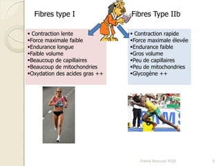 Franck Rencurel 2020 6
Fibres type I Fibres Type IIb
 Contraction lente
Force maximale faible
Endurance longue
Faible volume
Beaucoup de capillaires
Beaucoup de mitochondries
Oxydation des acides gras ++
 Contraction rapide
Force maximale élevée
Endurance faible
Gros volume
Peu de capillaires
Peu de mitochondries
Glycogène ++
 