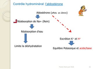 Franck Rencurel 2020 62
Aldostérone (effets en 20min)
Réabsorption de Na+ (Rein)
Réabsorption d’eau
Limite la déshydratation
Excrétion K+ et H+
Equilibre Potassique et acide/base
Contrôle hydrominéral: l’aldostérone
 