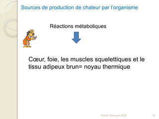 Franck Rencurel 2020 75
Sources de production de chaleur par l’organisme
Réactions métaboliques
Cœur, foie, les muscles squelettiques et le
tissu adipeux brun= noyau thermique
 