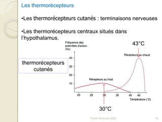 Franck Rencurel 2020 76
Les thermorécepteurs
•Les thermorécepteurs cutanés : terminaisons nerveuses
•Les thermorécepteurs centraux situés dans
l’hypothalamus.
thermorécepteurs
cutanés
30°C
43°C
 