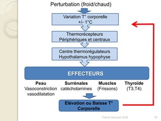 Franck Rencurel 2020 79
Variation T° corporelle
+/- 1°C
Perturbation (froid/chaud)
Thermorécepteurs
Périphériques et centraux
Centre thermorégulateurs
Hypothalamus hypophyse
EFFECTEURS
Peau
Vasoconstriction
vasodilatation
Surrénales
catécholamines
Muscles
(Frissons)
Thyroïde
(T3,T4)
Elévation ou Baisse T°
Corporelle
 