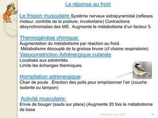 Franck Rencurel 2020 80
La réponse au froid
Le frisson musculaire Système nerveux extrapyramidal (reflexes
moteur, contrôle de la posture, involontaire) Contractions
désynchronisées des MS. Augmente le métabolisme d’un facteur 5.
Thermogénèse chimique:
Augmentation du métabolisme par réaction au froid.
Métabolisme découplé de la graisse brune (cf chaine respiratoire)
Vasoconstriction.Adrénergique cutanée
Localisée aux extrémités
Limite les échanges thermiques.
Horripilation adrénergique:
Chair de poule . Érection des poils pour emprisonner l’air (couche
isolante ou tampon)
Activité musculaire:
Envie de bouger (sauts sur place) (Augmente 20 fois le métabolisme
de base
 