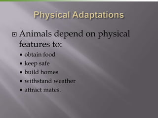    Animals depend on physical
    features to:
       obtain food
       keep safe
       build homes
       withstand weather
       attract mates.
 