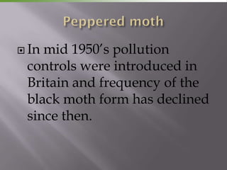  Inmid 1950’s pollution
 controls were introduced in
 Britain and frequency of the
 black moth form has declined
 since then.
 