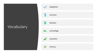 Vocabulary
adaptation
structure
behavior
camouflage
coloration
mimicry
 