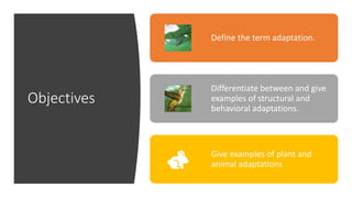 Objectives
Define the term adaptation.
Differentiate between and give
examples of structural and
behavioral adaptations.
Give examples of plant and
animal adaptations
 