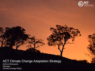 ACT Climate Change Adaptation Strategy
Antonio Mozqueira
Manager
Climate Change Policy
 