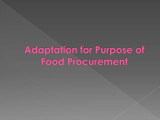 Adaptation for purpose of  food procurement