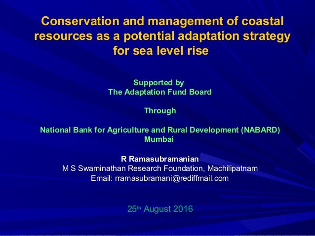 Adaptation dissertation strategic