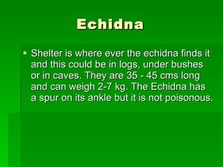Echidna  Shelter is where ever the echidna finds it and this could be in logs, under bushes or in caves. They are 35 - 45 cms long and can weigh 2-7 kg. The Echidna has a spur on its ankle but it is not poisonous.  