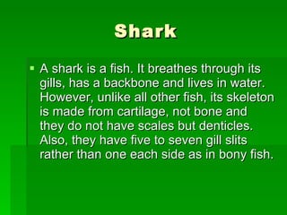 Shark A shark is a fish. It breathes through its gills, has a backbone and lives in water. However, unlike all other fish, its skeleton is made from cartilage, not bone and they do not have scales but denticles. Also, they have five to seven gill slits rather than one each side as in bony fish.  