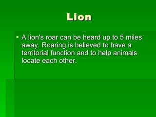 Lion A lion's roar can be heard up to 5 miles away. Roaring is believed to have a territorial function and to help animals locate each other.  