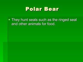 Polar Bear They hunt seals such as the ringed seal and other animals for food.  
