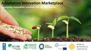 Adaptation Innovation Marketplace
Catalyzing innovative solutions for climate action
 