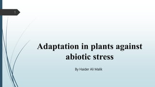 Adaptation in plants against
abiotic stress
1
By Haider Ali Malik
 