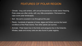 FEATURES OF POLAR REGION
• Climate - long cold winters, with annual temperatures mostly below freezing.
Polar areas are often windy, with very little precipitation. Permanent ice
caps cover polar landscapes.
• Soil - the soil is covered in ice throughout the year.
• Plants - hundreds of species of moss, algae and lichen survive the harsh
conditions of the Polar biome. Few other plants can survive.
• Animals - Polar bears live in the Arctic and penguins live in the Antarctic.
Whales, seals and snowy owls are also found in polar regions.
 