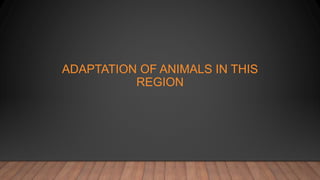 ADAPTATION OF ANIMALS IN THIS
REGION
 