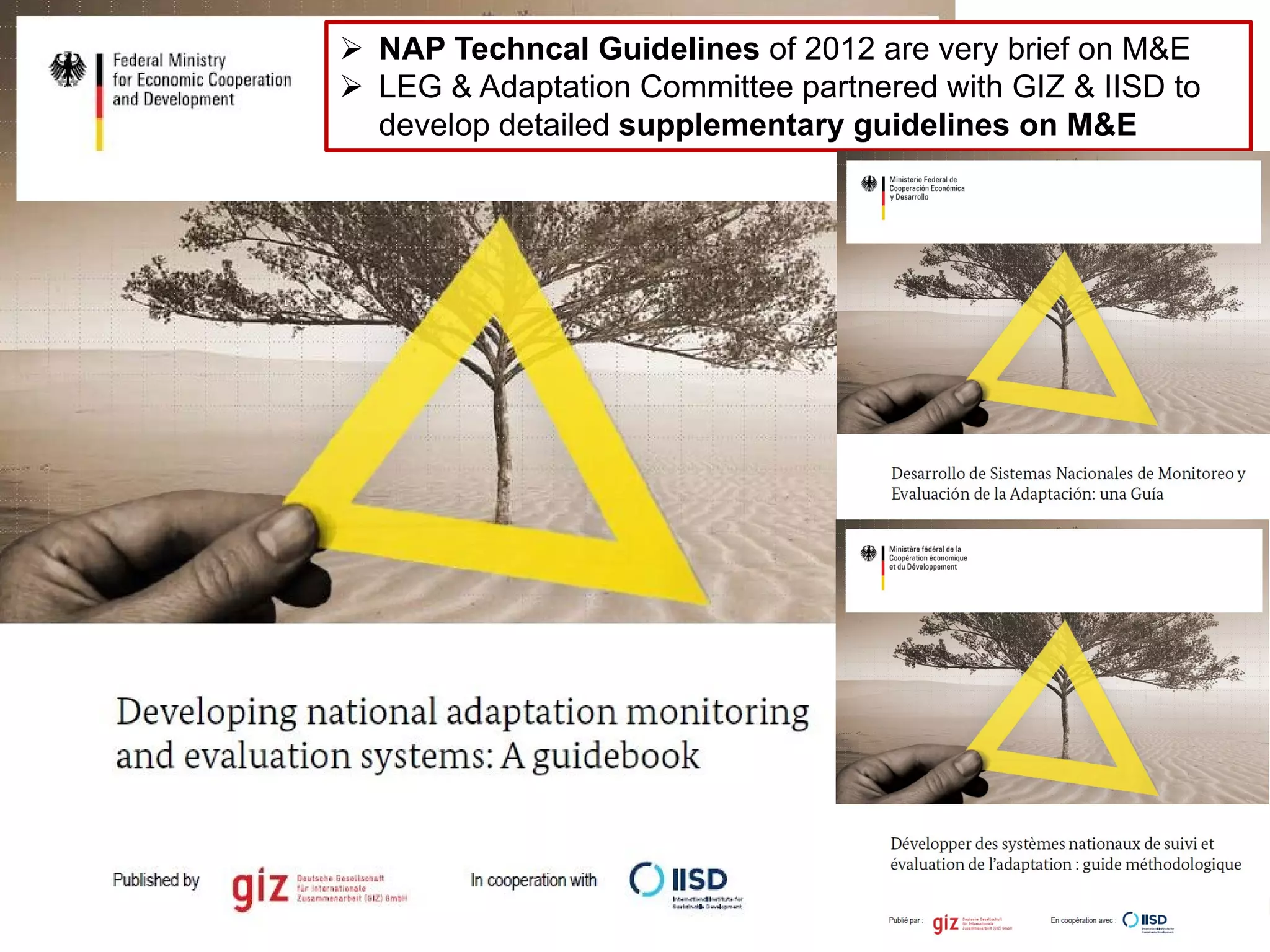 Slide 8
