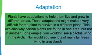The Adaptation of Flowers - Biology Powerpoint Presentation | PPTX