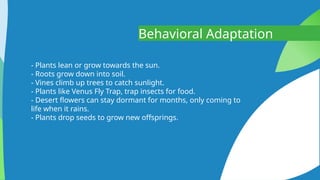 The Adaptation of Flowers - Biology Powerpoint Presentation | PPTX