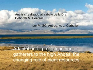 Adaptation of prehistoric hunter-
gatherers to the high Andes: the
changing role of plant resources
Análisis realizado al trabajo de la Dra.
Deborah M. Pearsall,
por M. SC. Antrop. A. L. Carballo
 