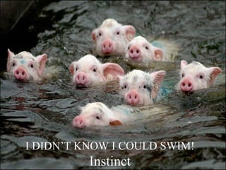 I DIDN’T KNOW I COULD SWIM! Instinct 