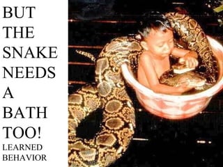 BUT THE SNAKE NEEDS A BATH TOO! LEARNED BEHAVIOR 